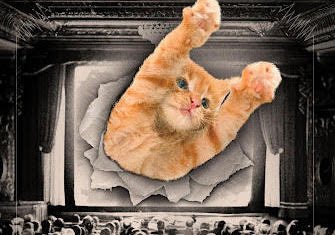 CATVIDEOFEST 2025