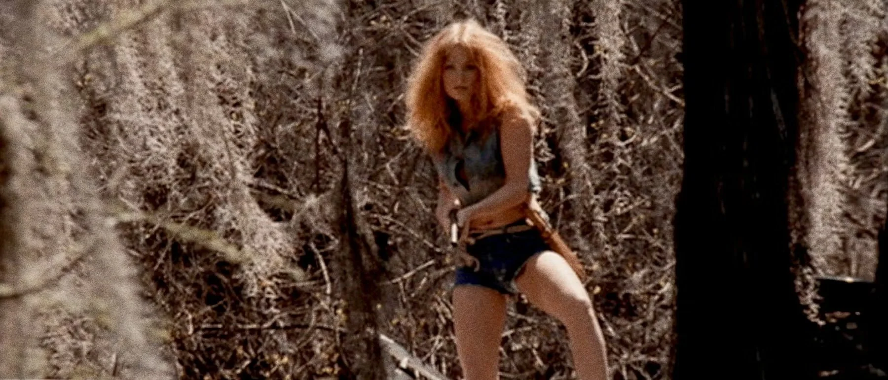 MIDNIGHT CREATURE PICTURE SHOW: 'Gator Bait (1973)