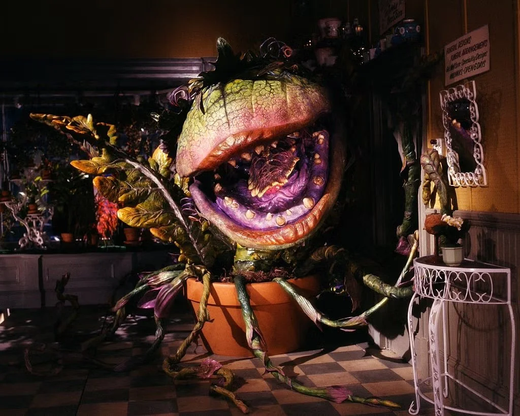 Little Shop of Horrors (1986) 