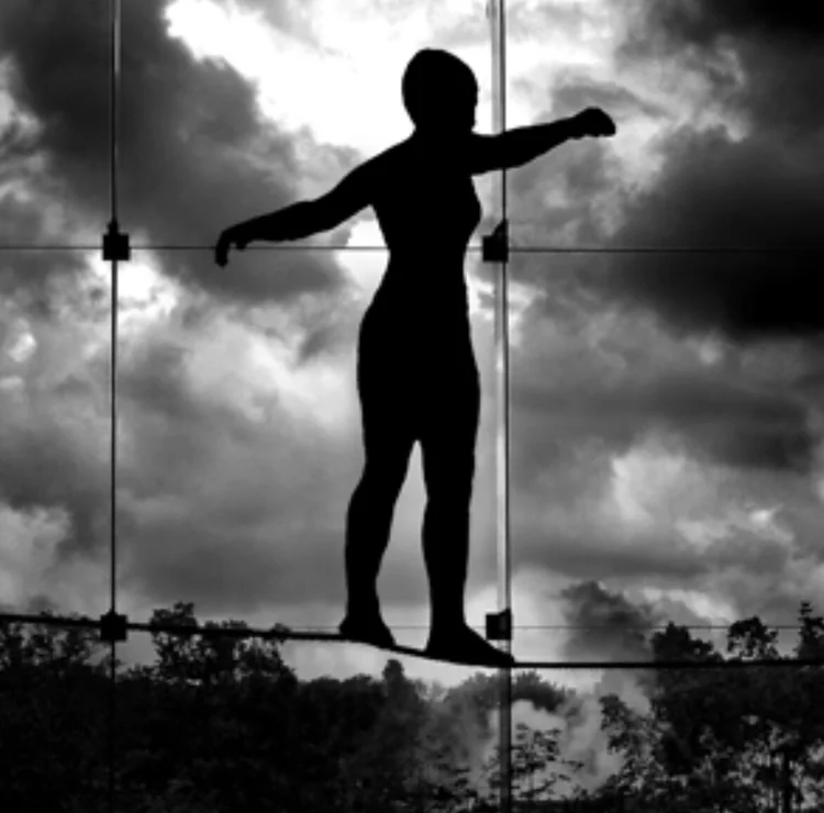 The Balancing Act