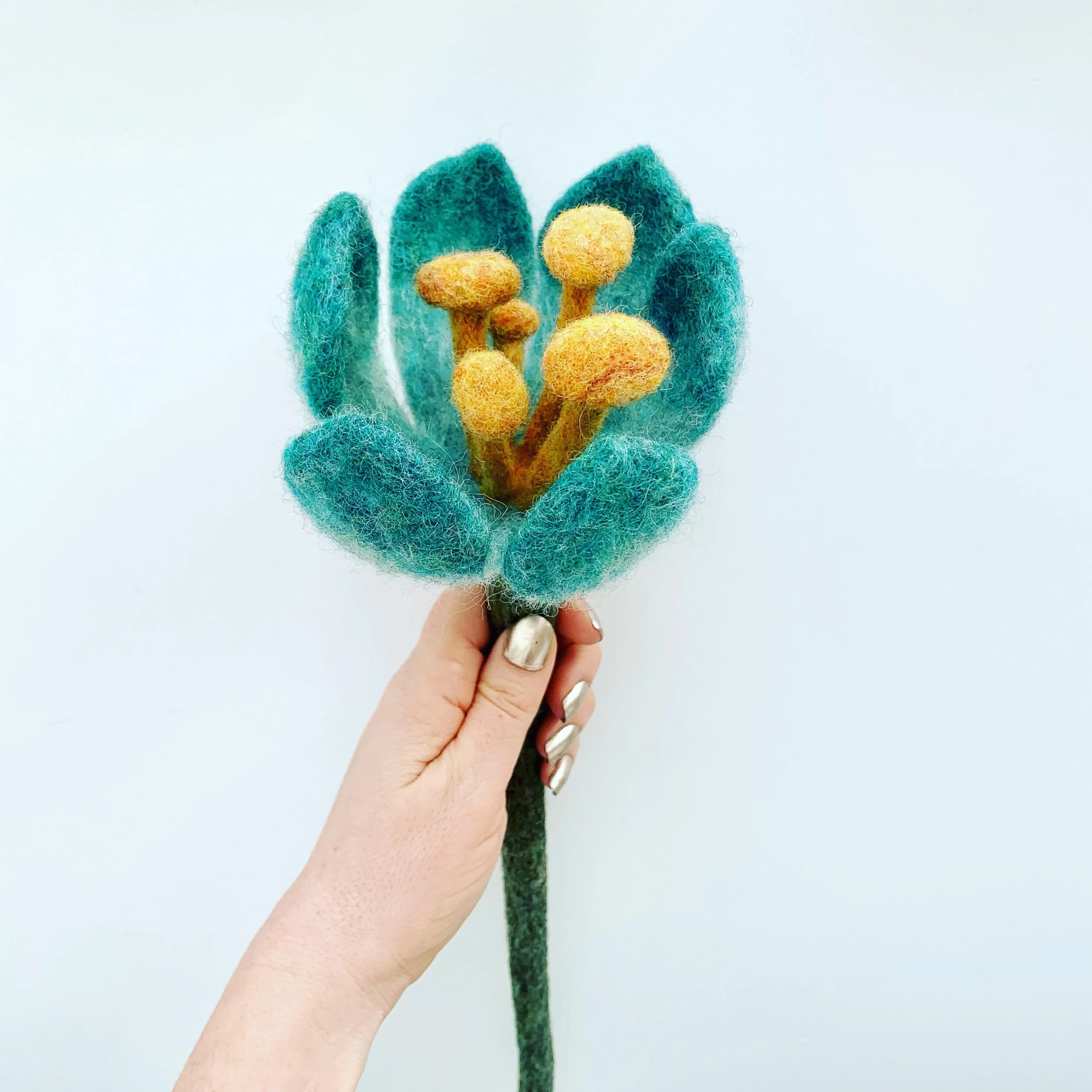 FDB63ECB-2364-4E48-BEC6-34A467FD1657