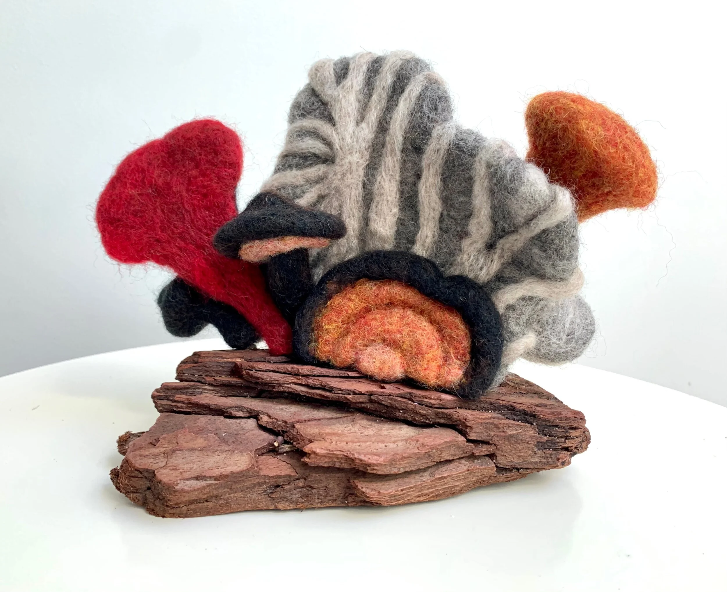 7B4F6318-6B14-4AF0-A154-625DB804B905