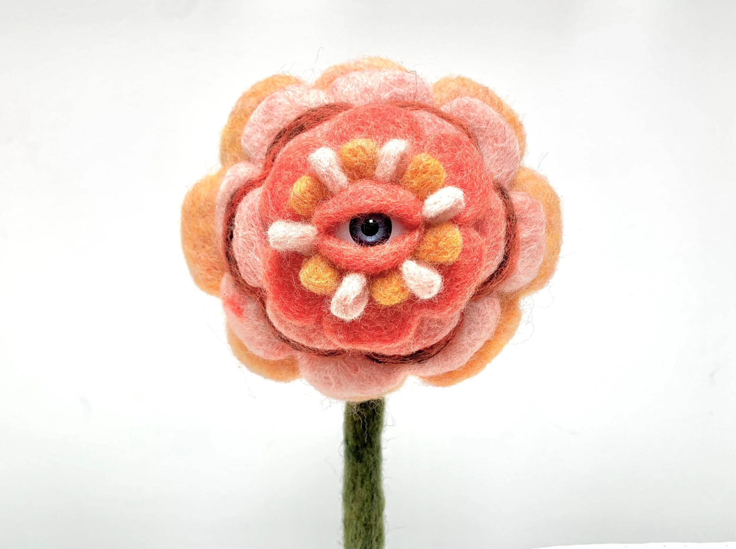 91134B1D-1F21-474C-A2AD-9F0C144EE108