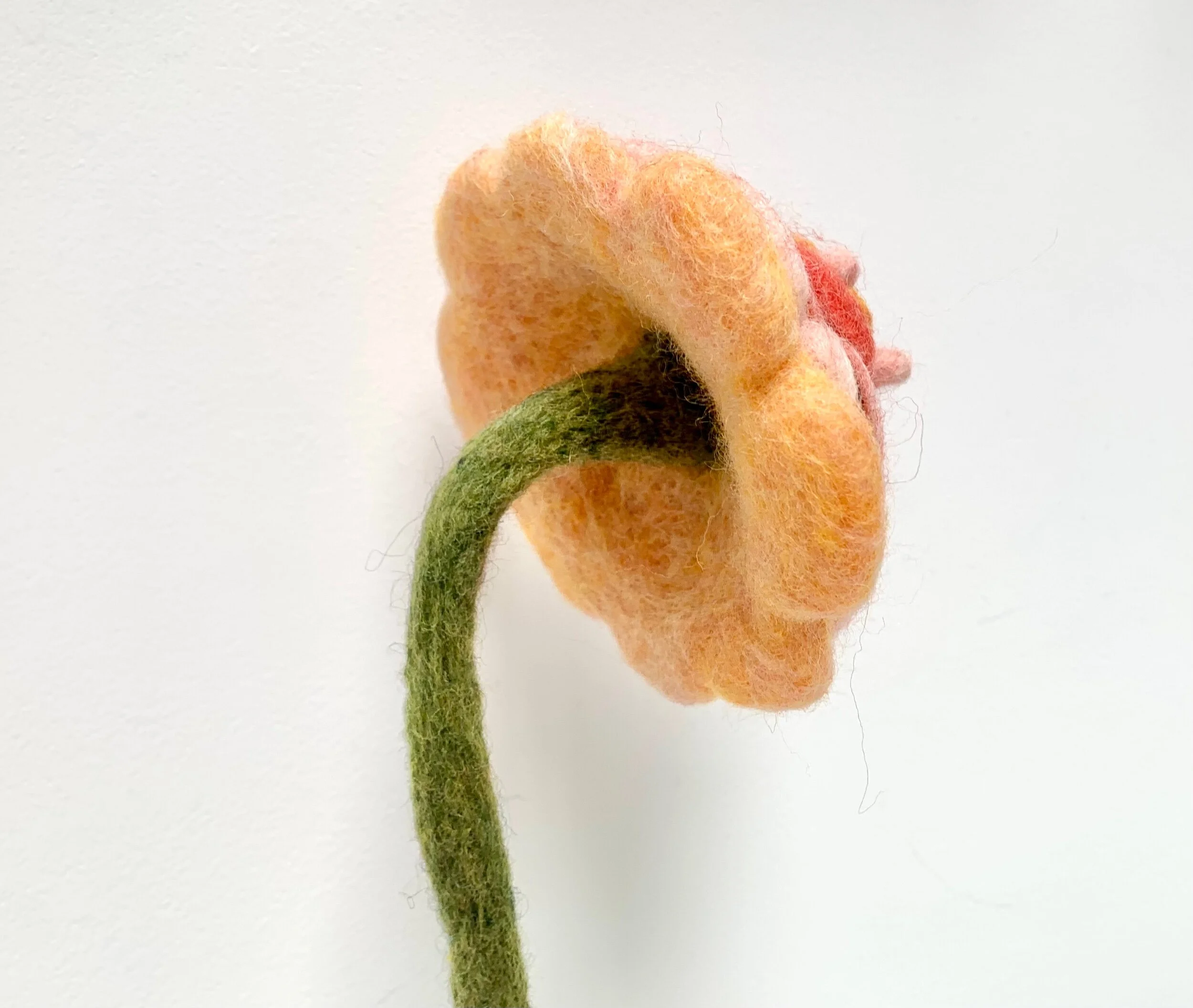 2808EF0D-8CA3-4F2B-BA73-EA24CB3DAC38