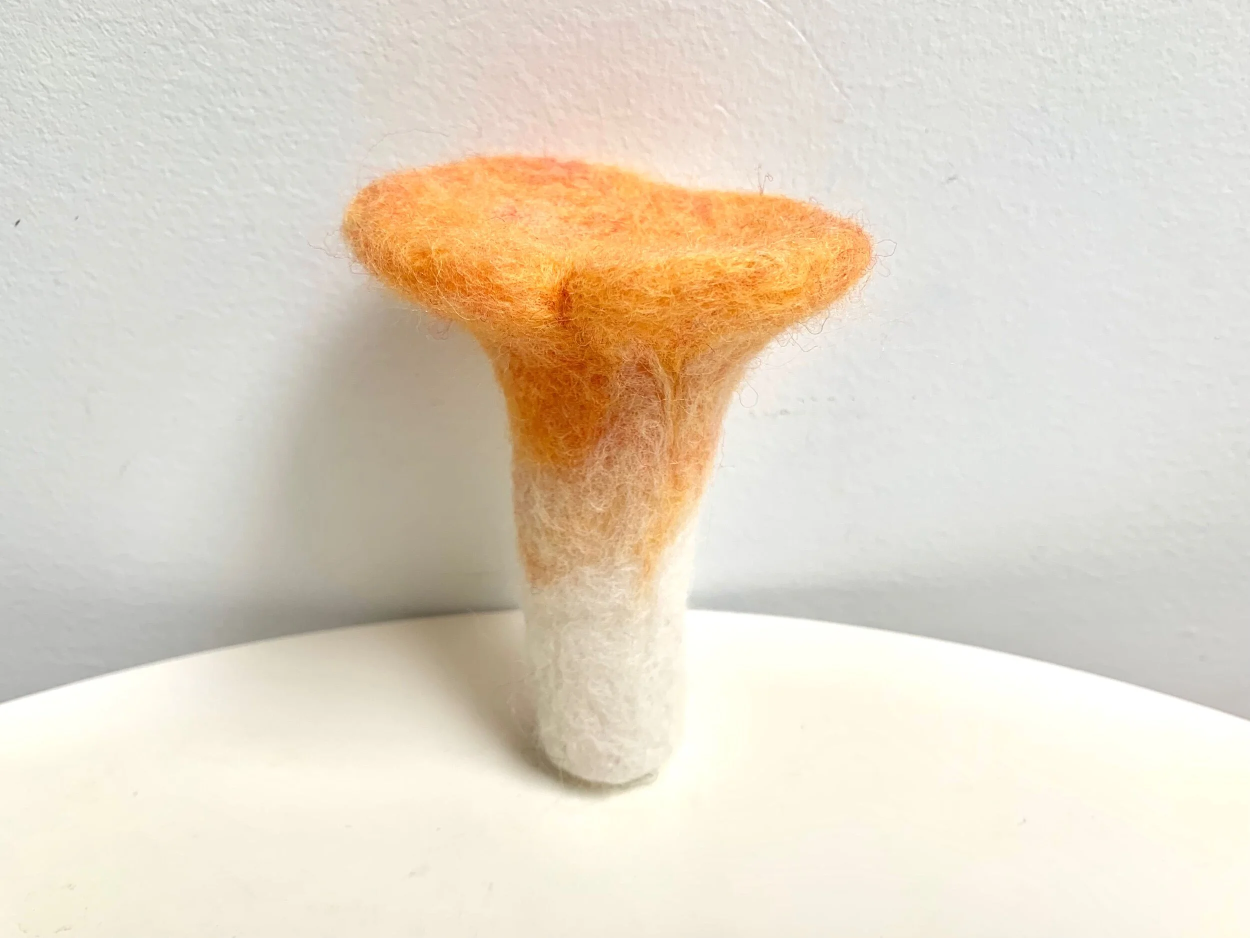 C077F1DF-521D-4061-ADE2-20D6F62F9AD3