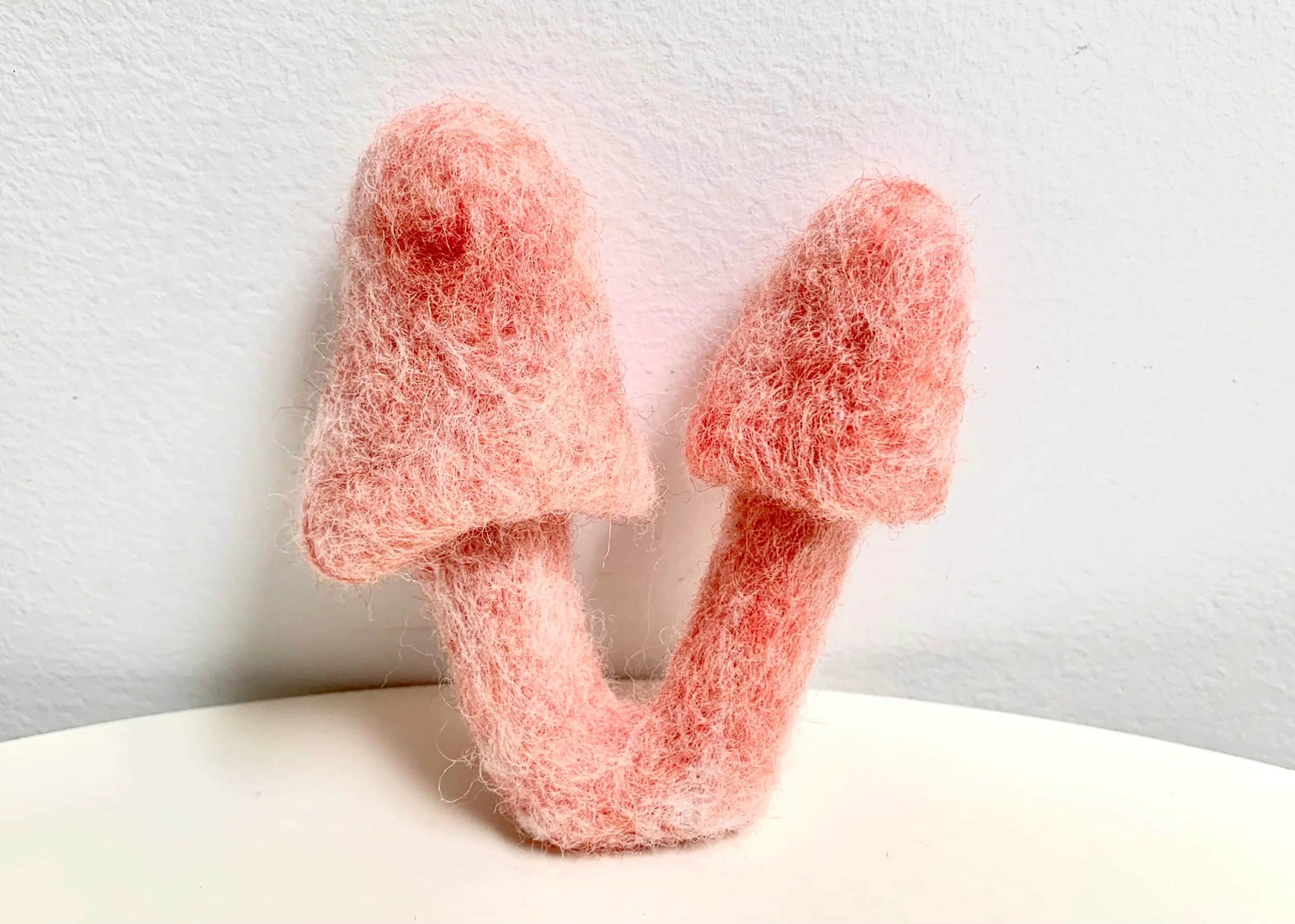 08554B93-C5D1-4C3B-910C-2B437A887EC1