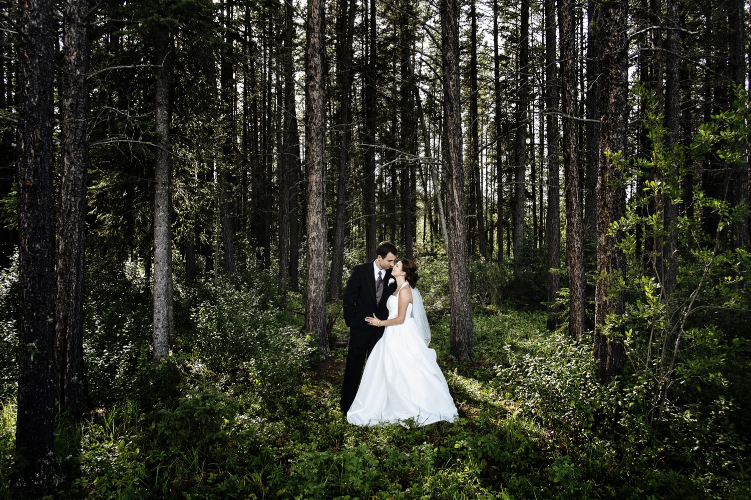 Wedding - Portraits 0002.jpg