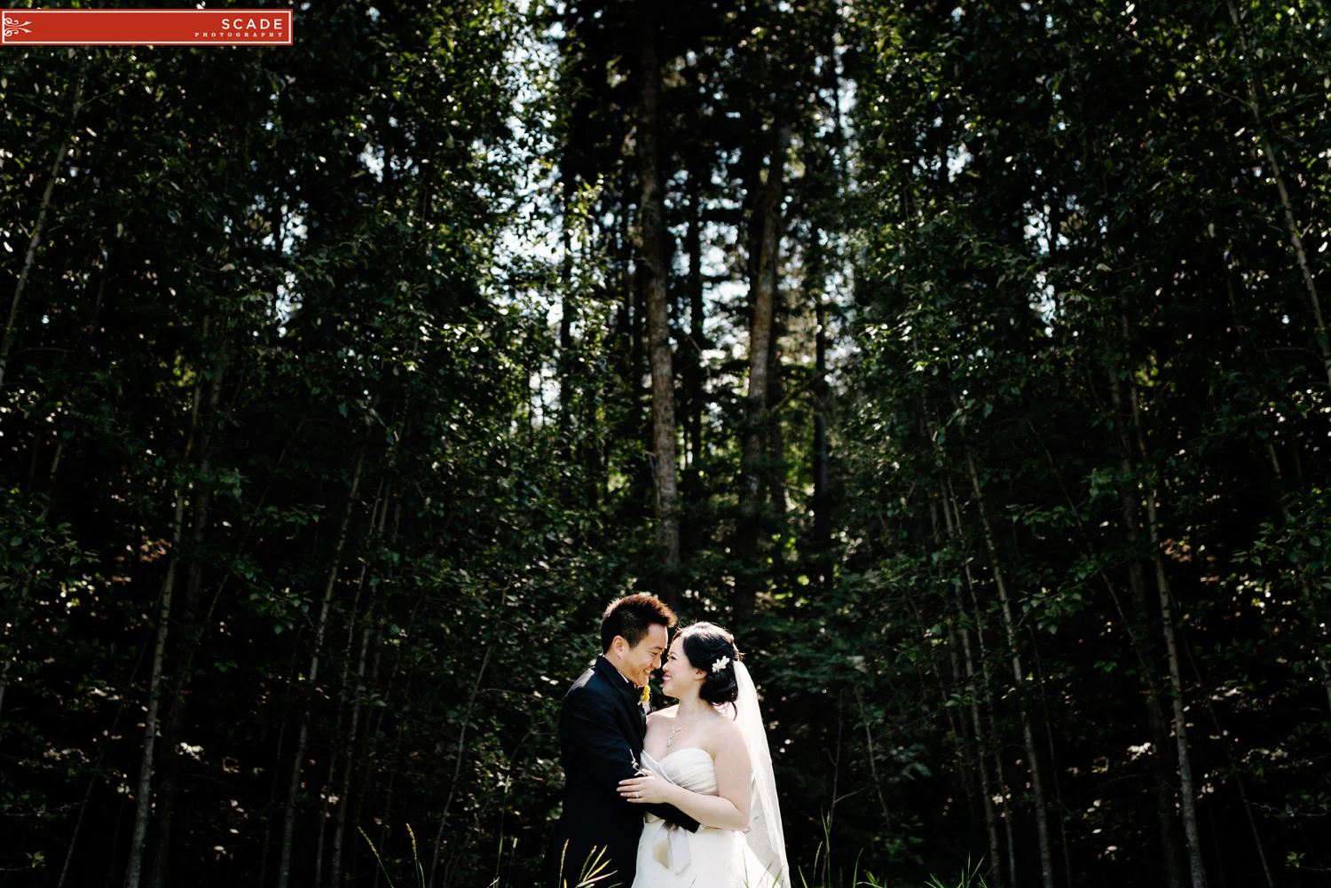 Edmonton Star Trek Wedding - Sophie and Jeff