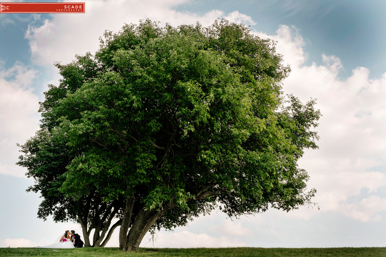 Fort Saskatchewan Wedding - Daryl and Candace - 0041.JPG