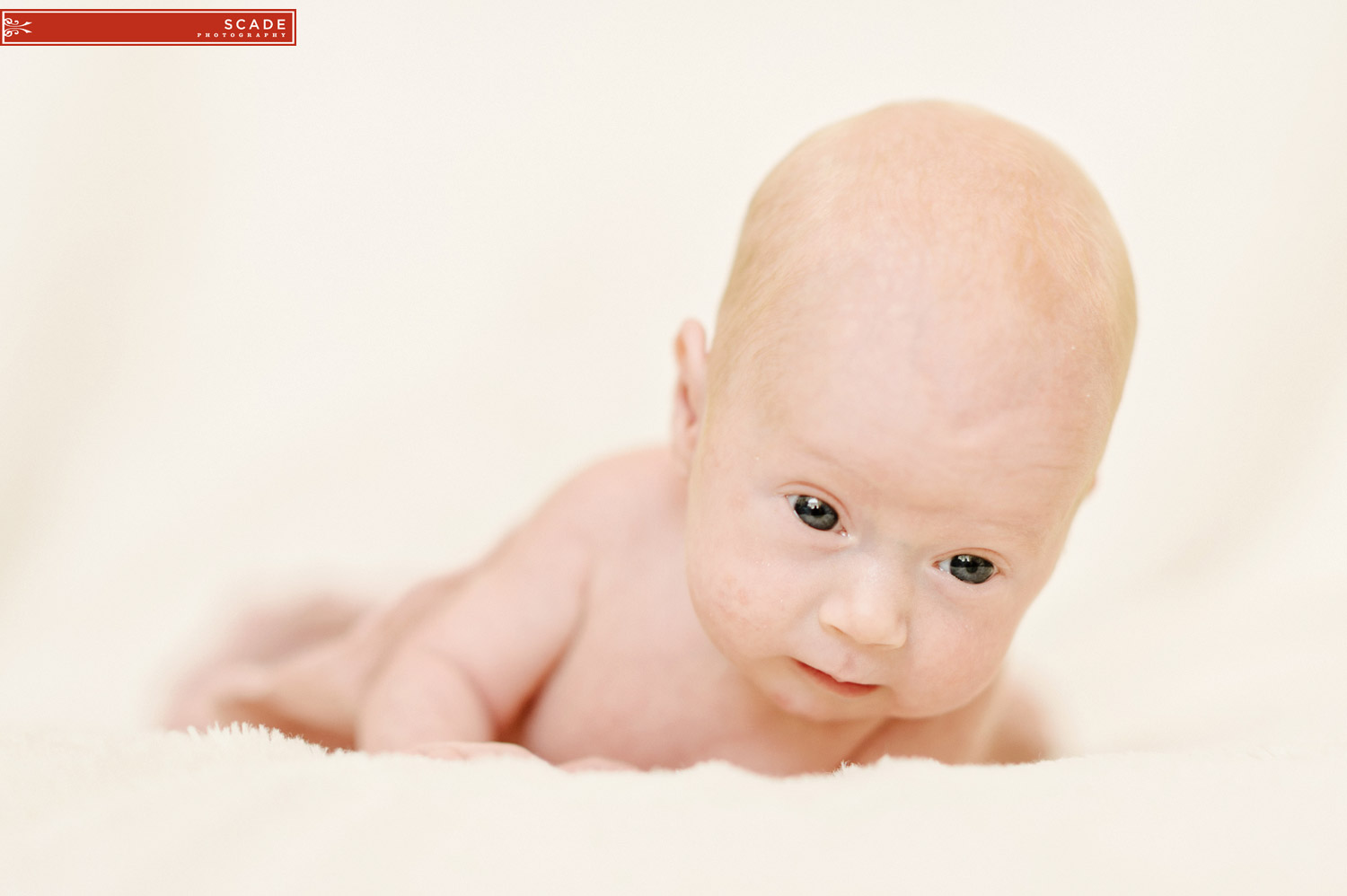 Edmonton Newborn Twin Photography - 005.JPG