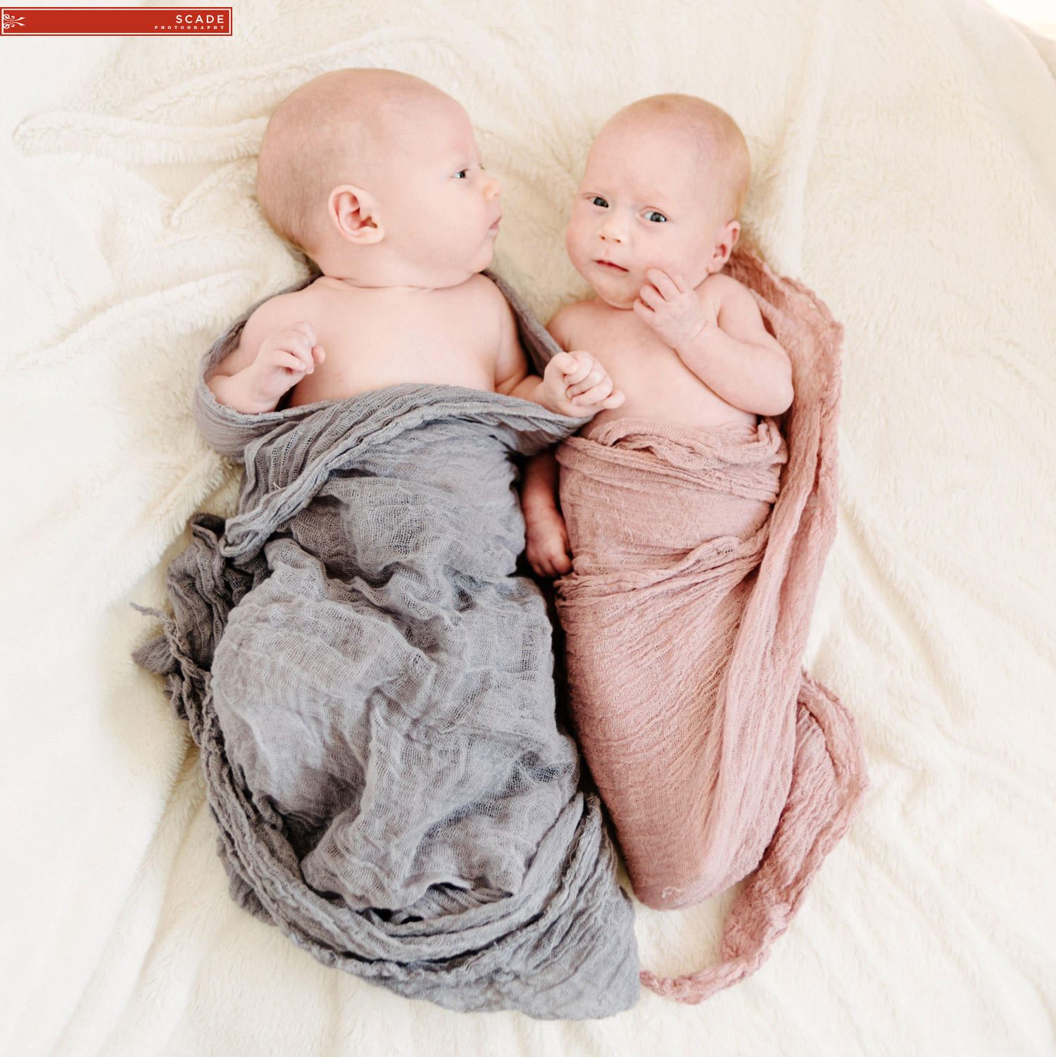 Edmonton Newborn Twin Photography - 006.JPG