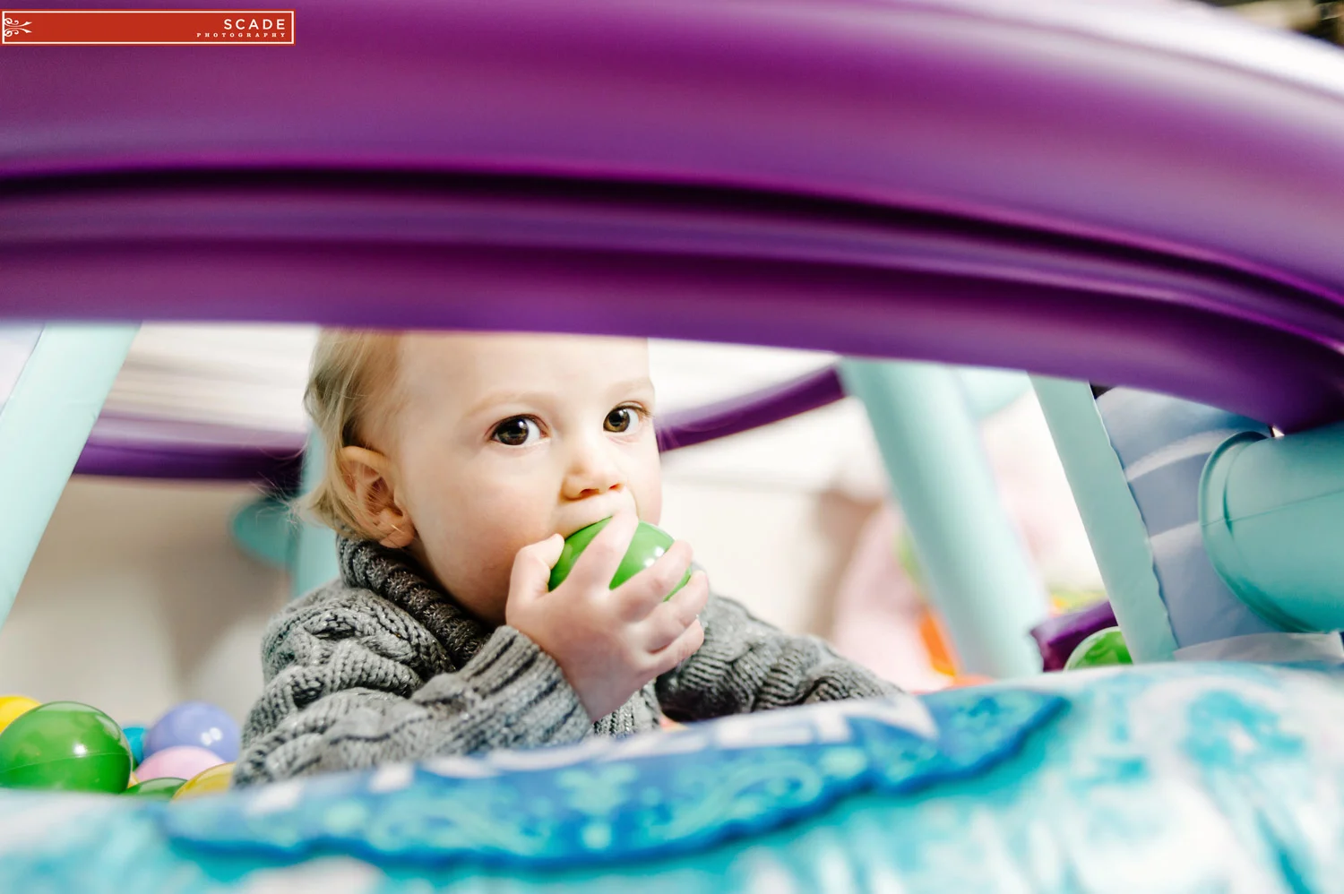 Edmonton Family Photographers - Talia's first birthday cake smash