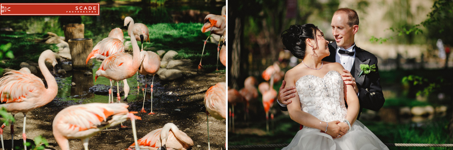 Calgary Zoo Wedding - Janet and Jon