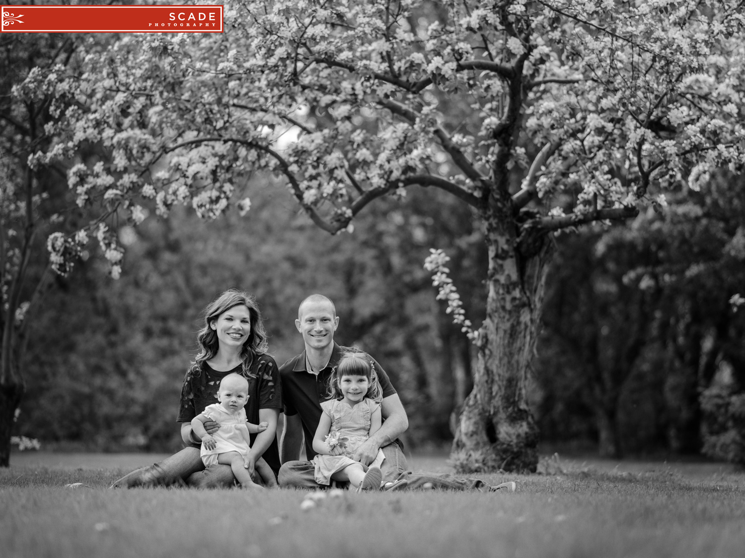 Edmonton Blossoms Family Photography 03.JPG