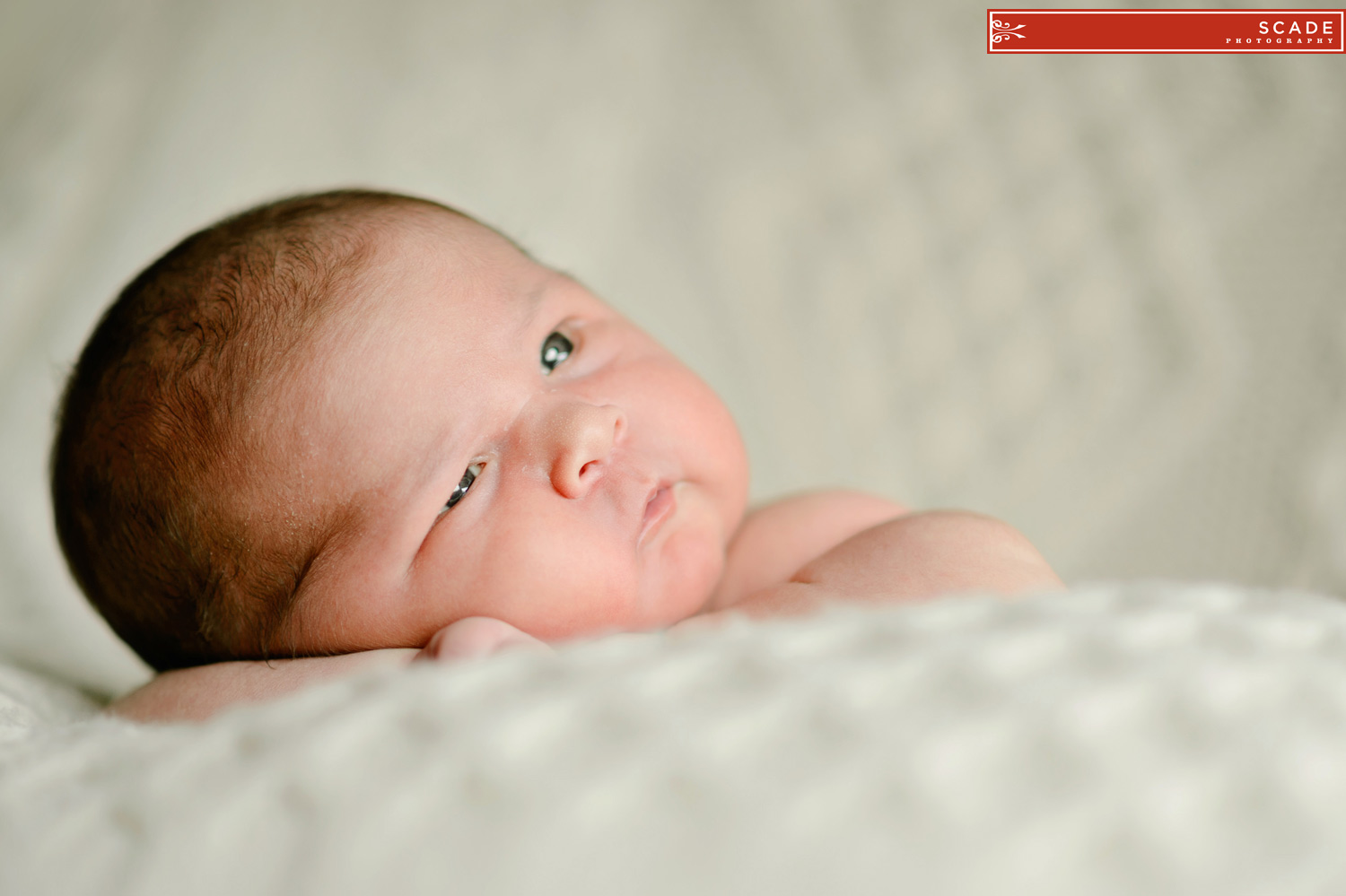 Edmonton Newborn Family