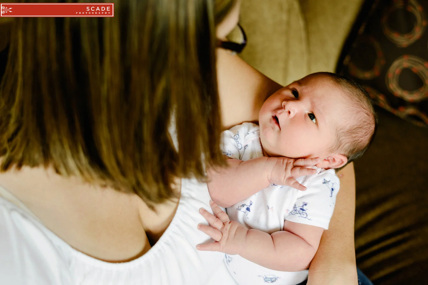 Edmonton Newborn Family