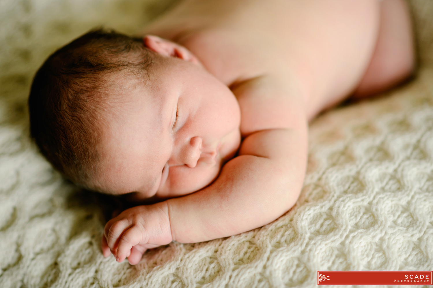 Edmonton Newborn Family