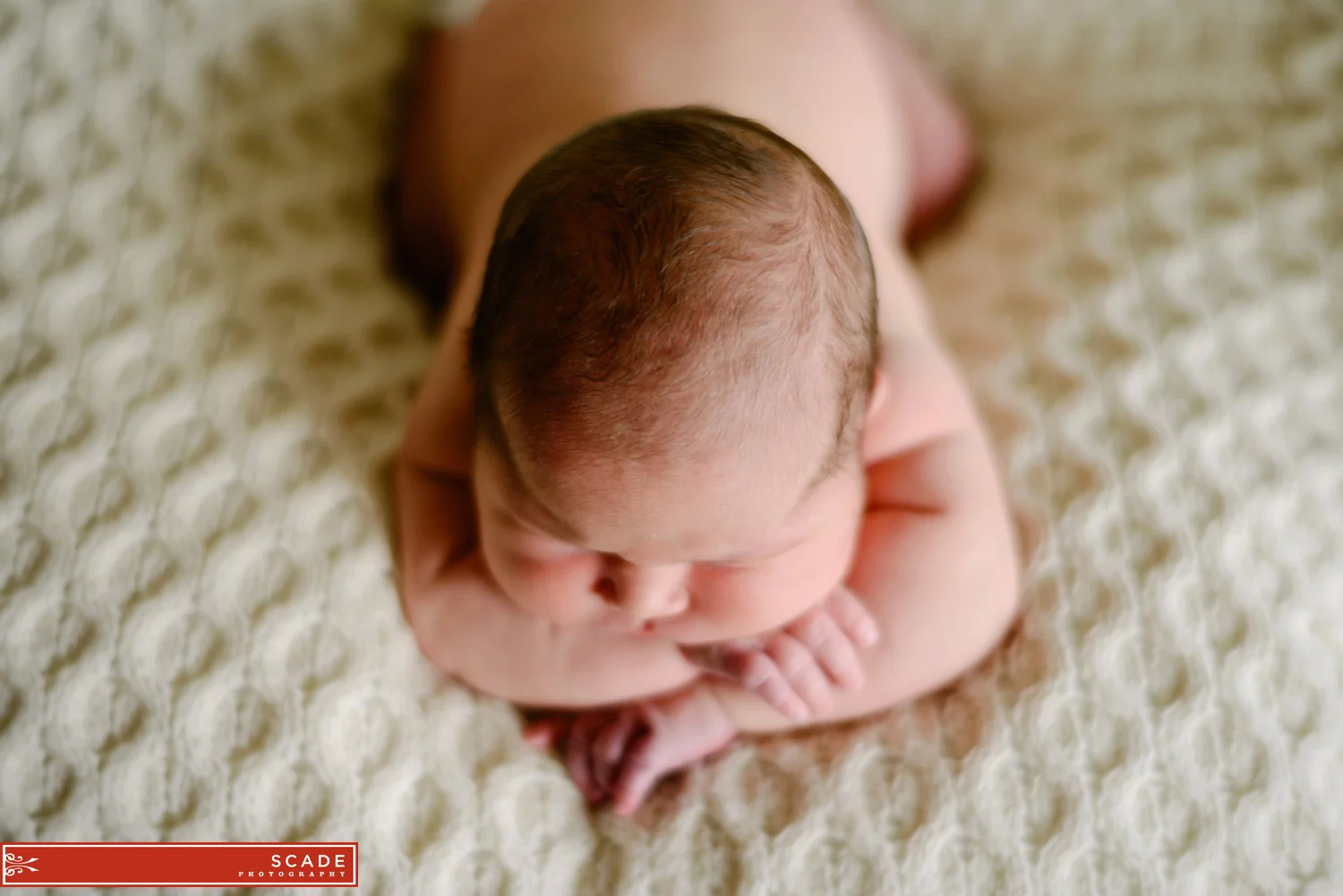 Edmonton Newborn Family