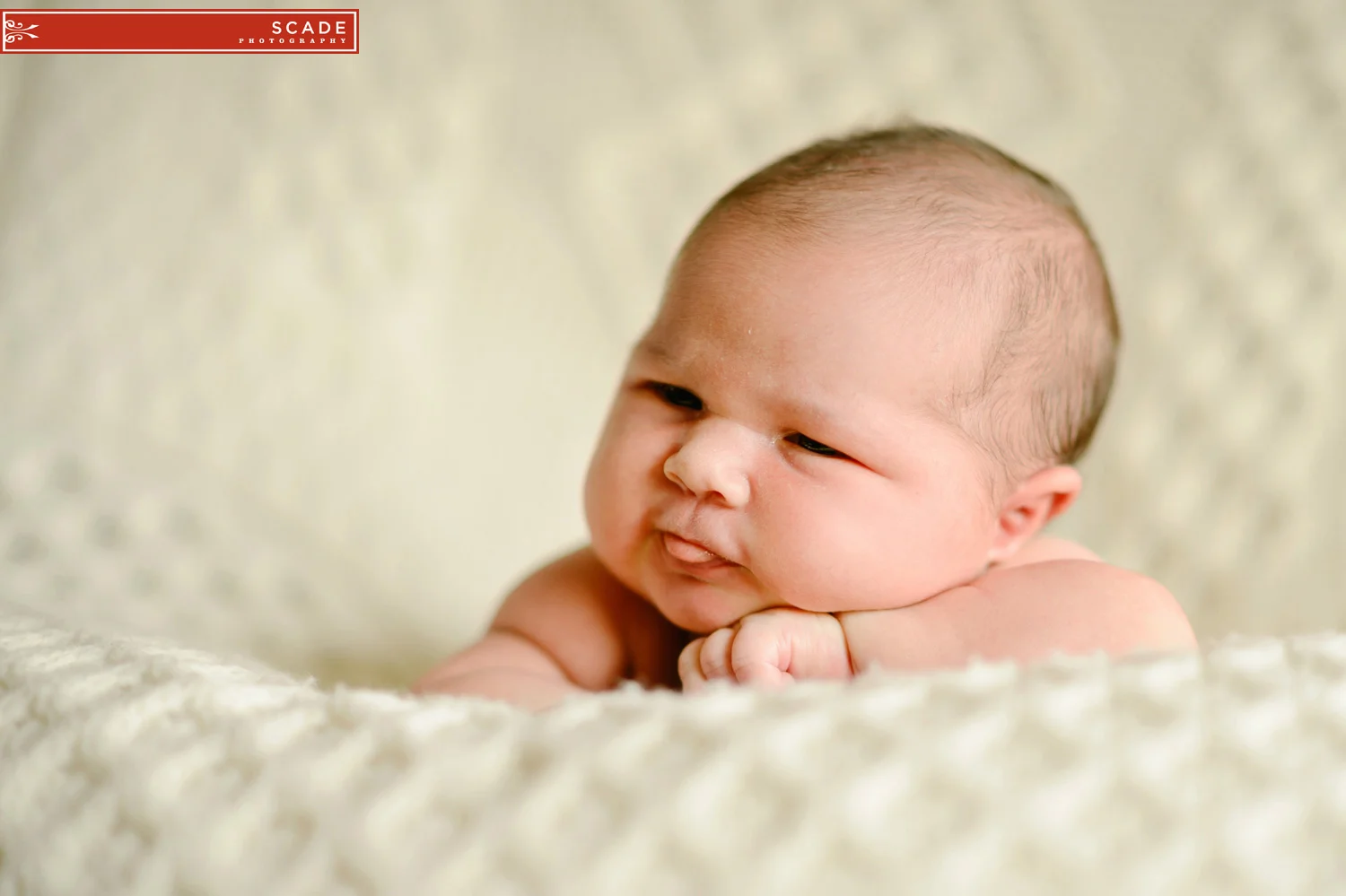Baby Roslynn - Edmonton Newborn Photography