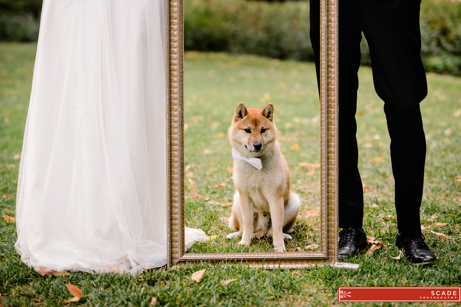 Edmonton Legislative Grounds Wedding