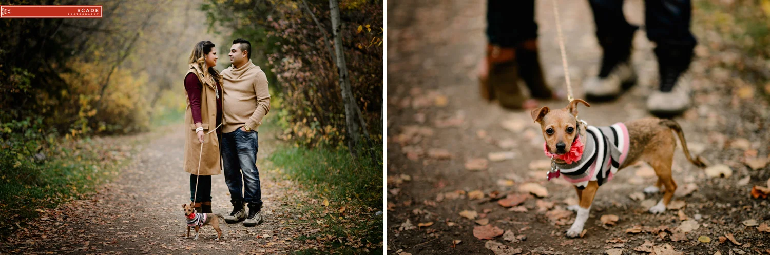 Fall Engagement Nighttime session