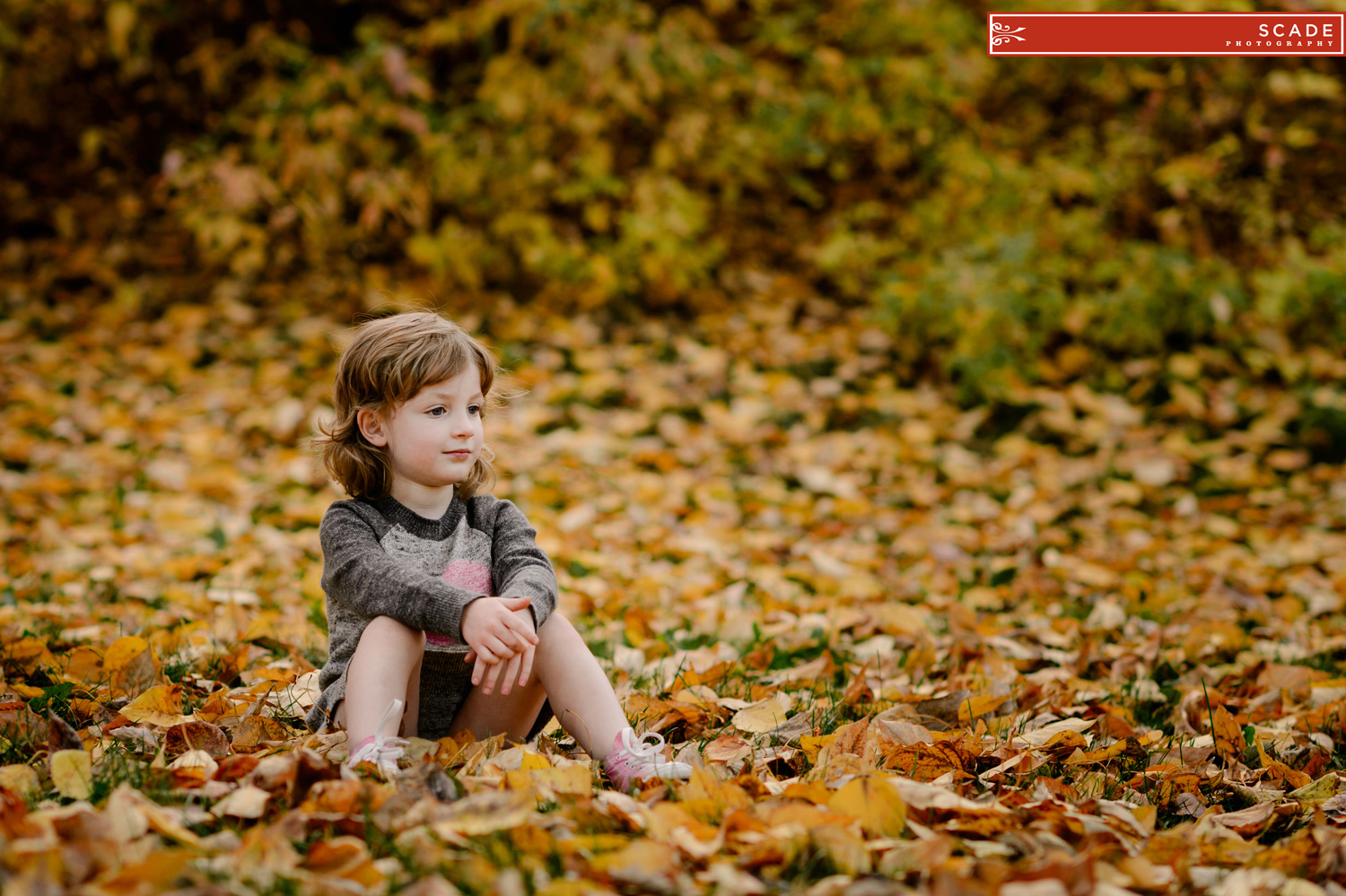 Fall Family Photography