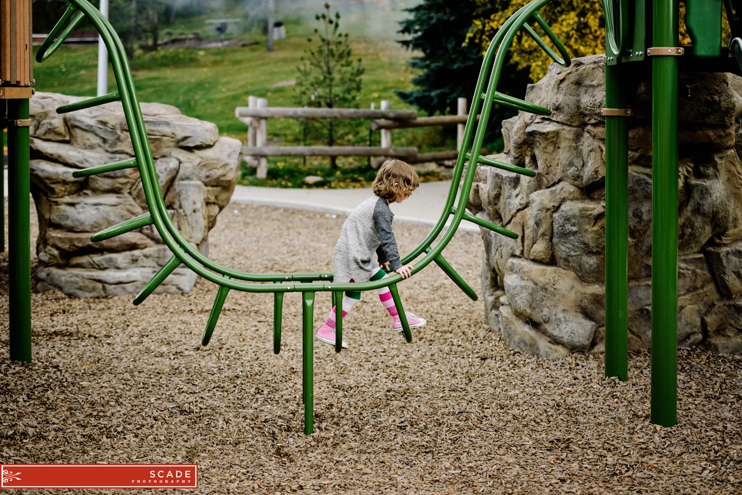 Fall Family Photography
