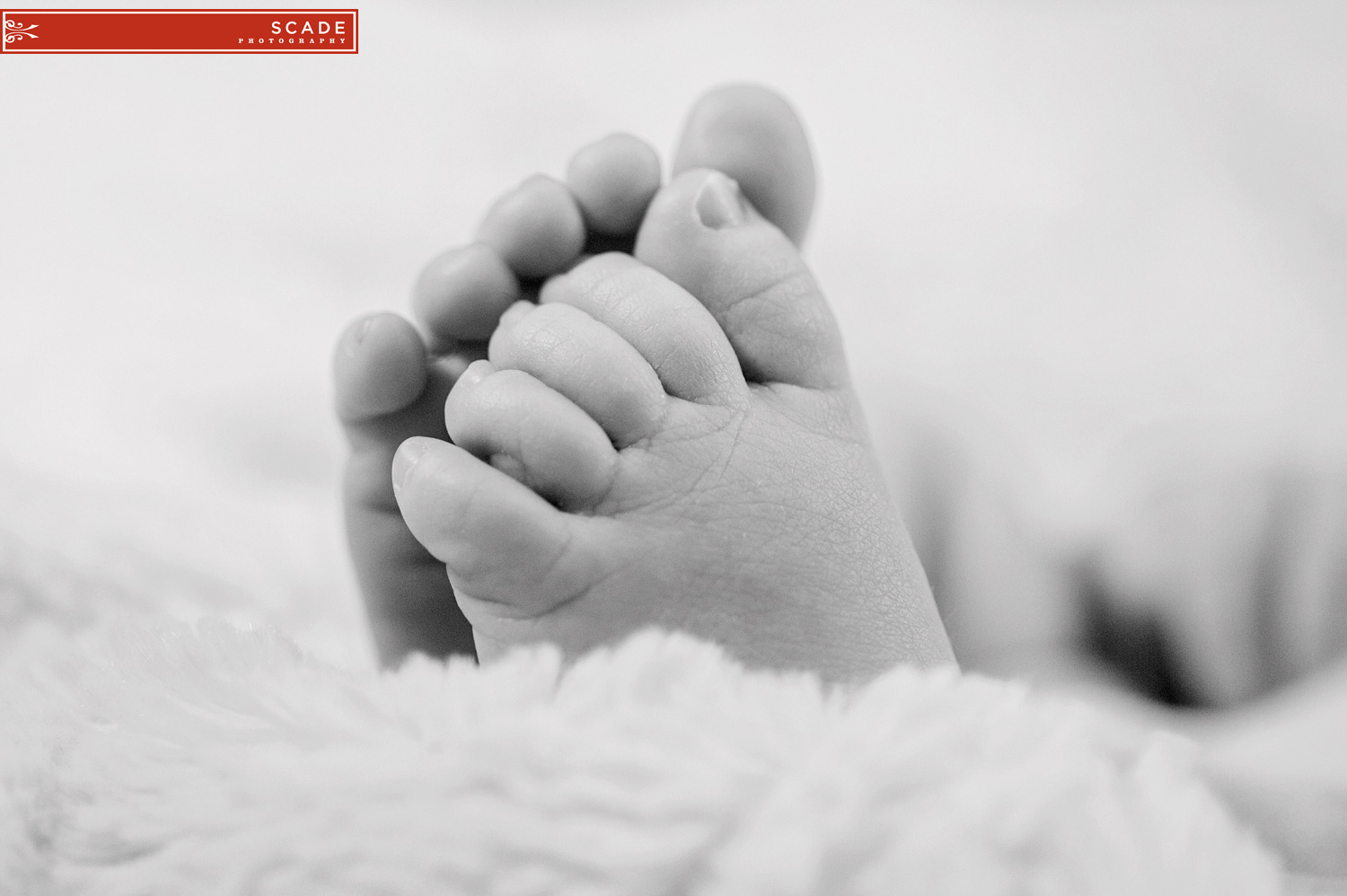 Edmonton Lifestyle Photography - Newborn - Daelen