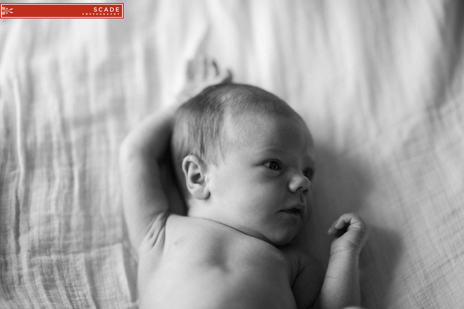 Edmonton Lifestyle Photography - Newborn
