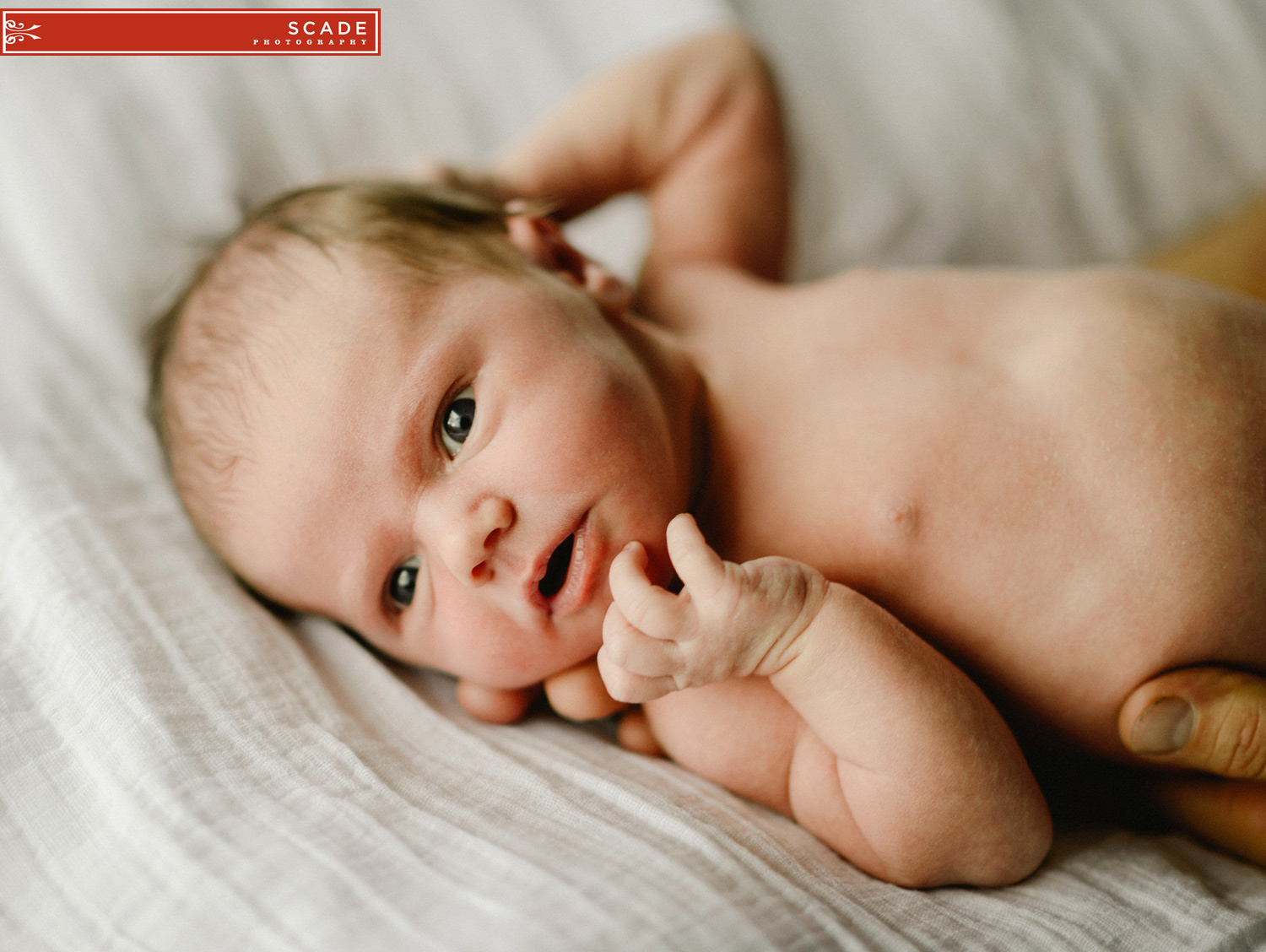 Edmonton Lifestyle Photography - Newborn