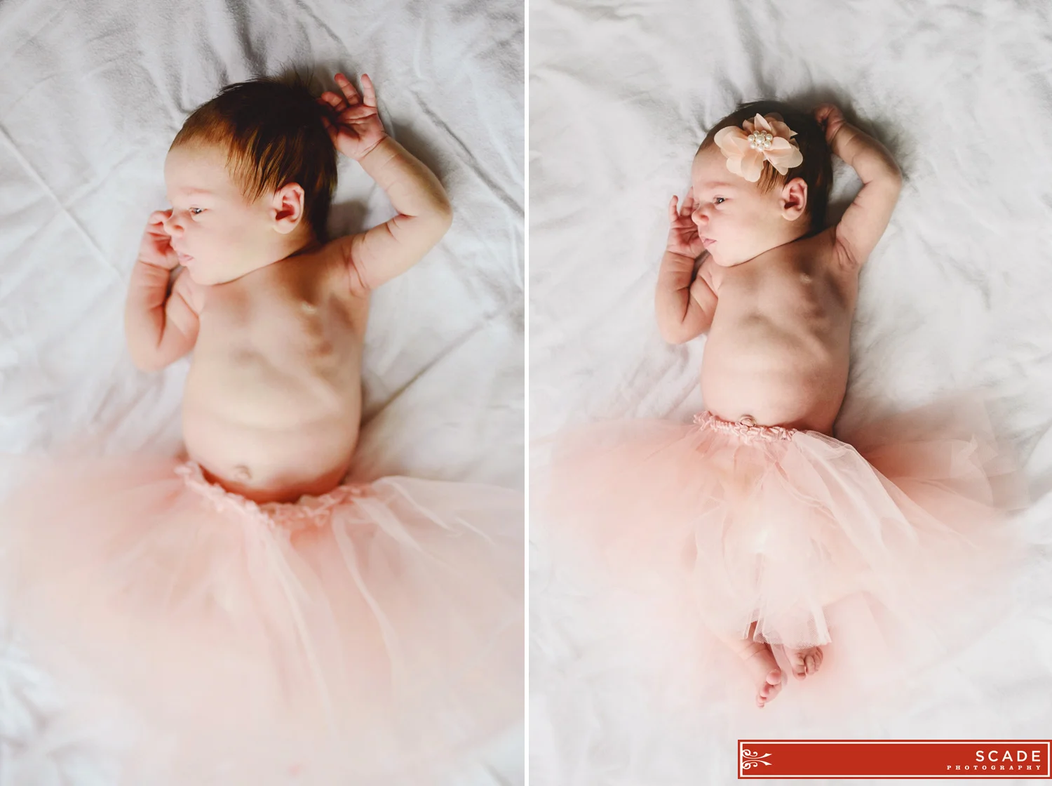 Edmonton Lifestyle Photography - Newborn