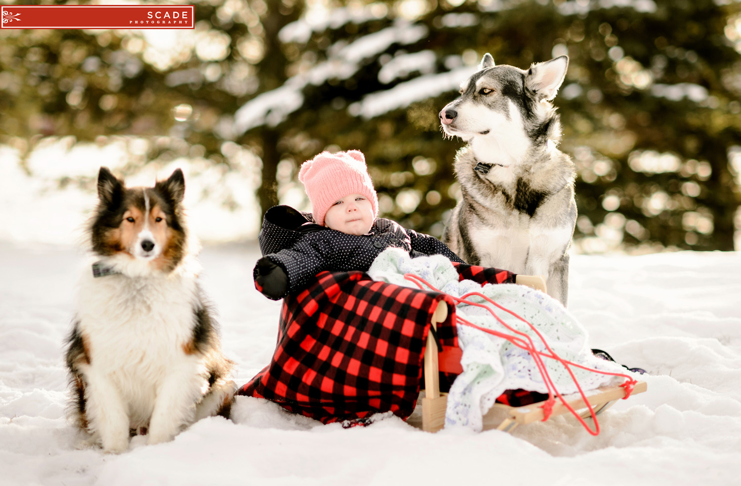 Winter Family Portaits