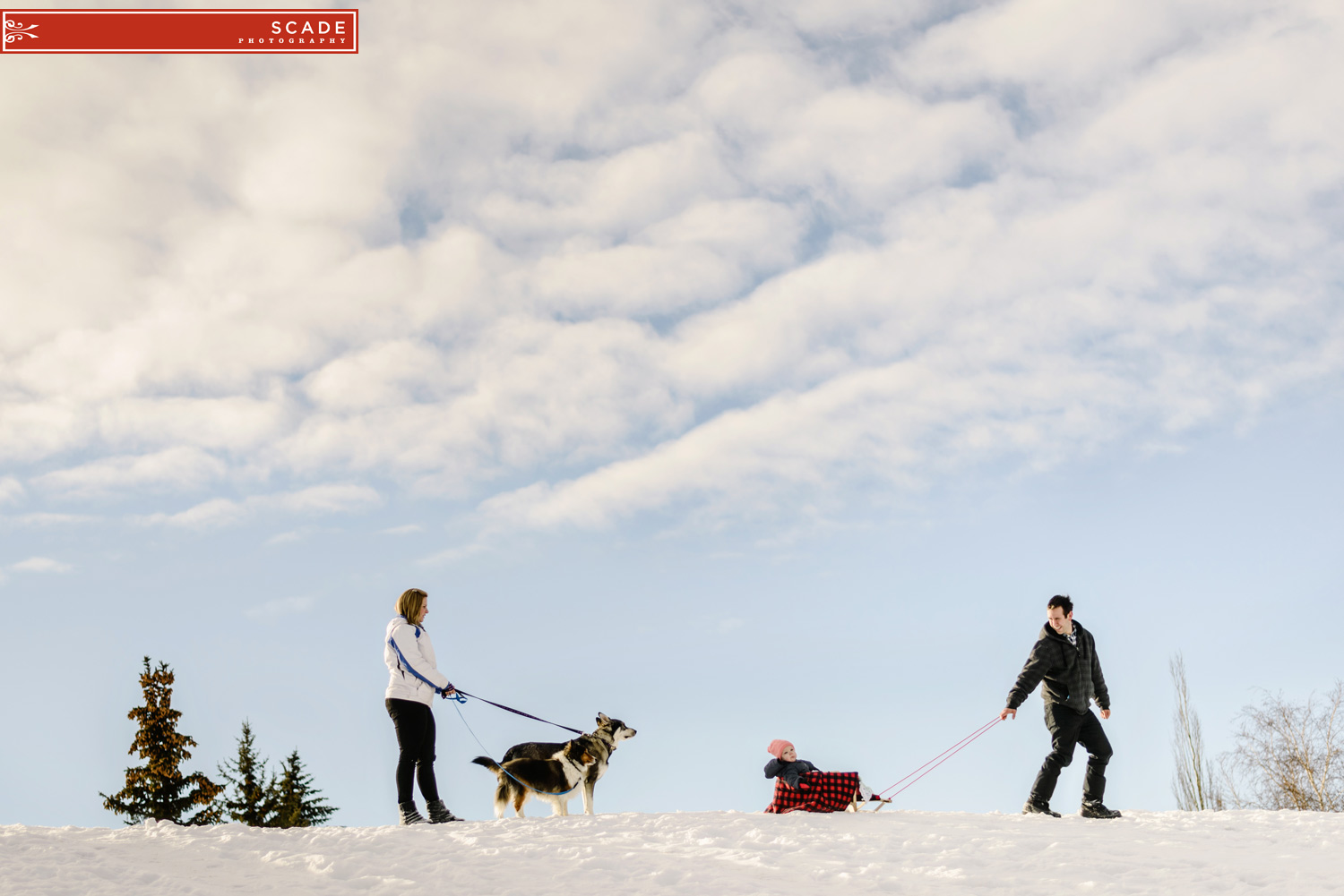 Winter Family Portaits