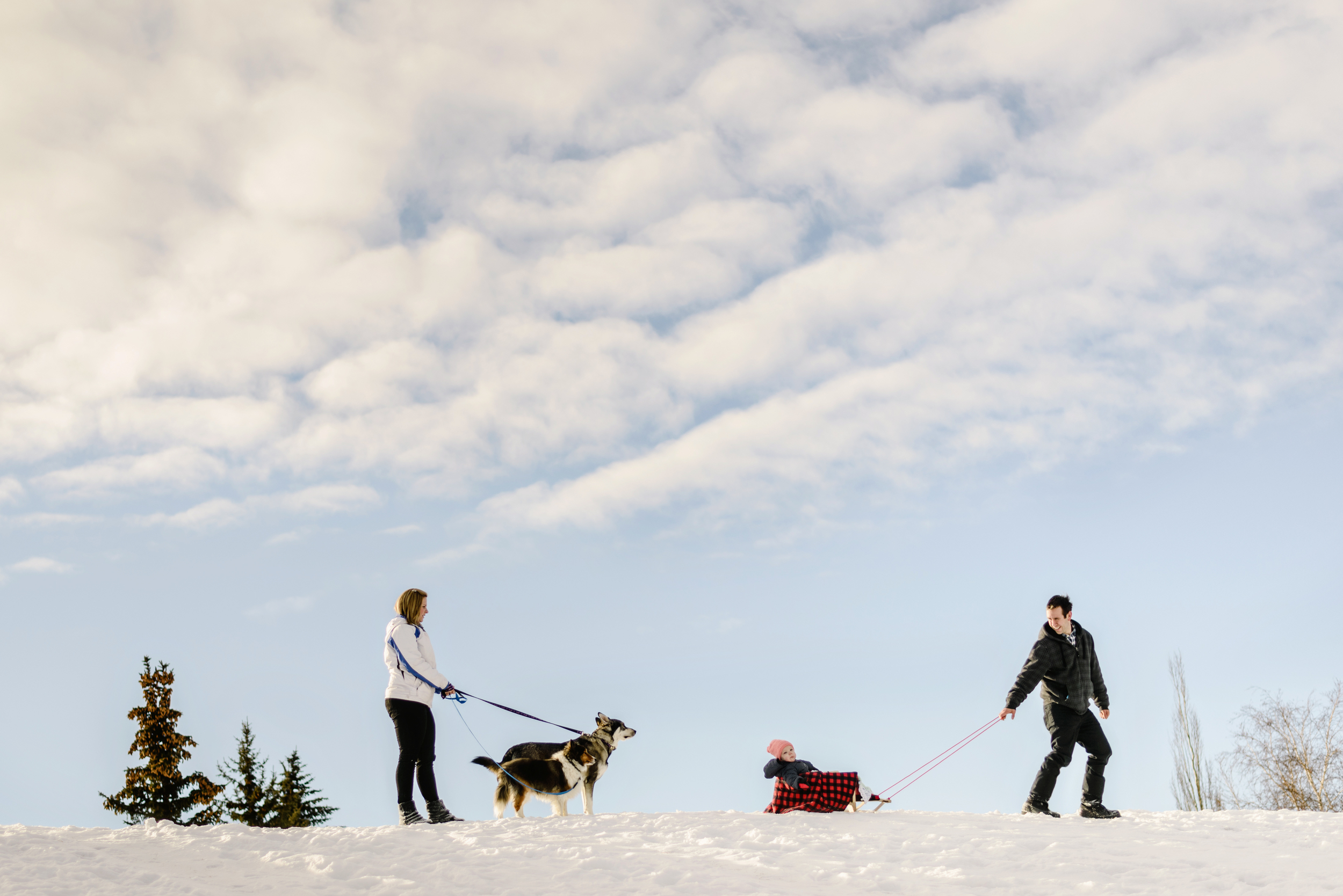 Edmonton Winter Family Photography - Scade Photography