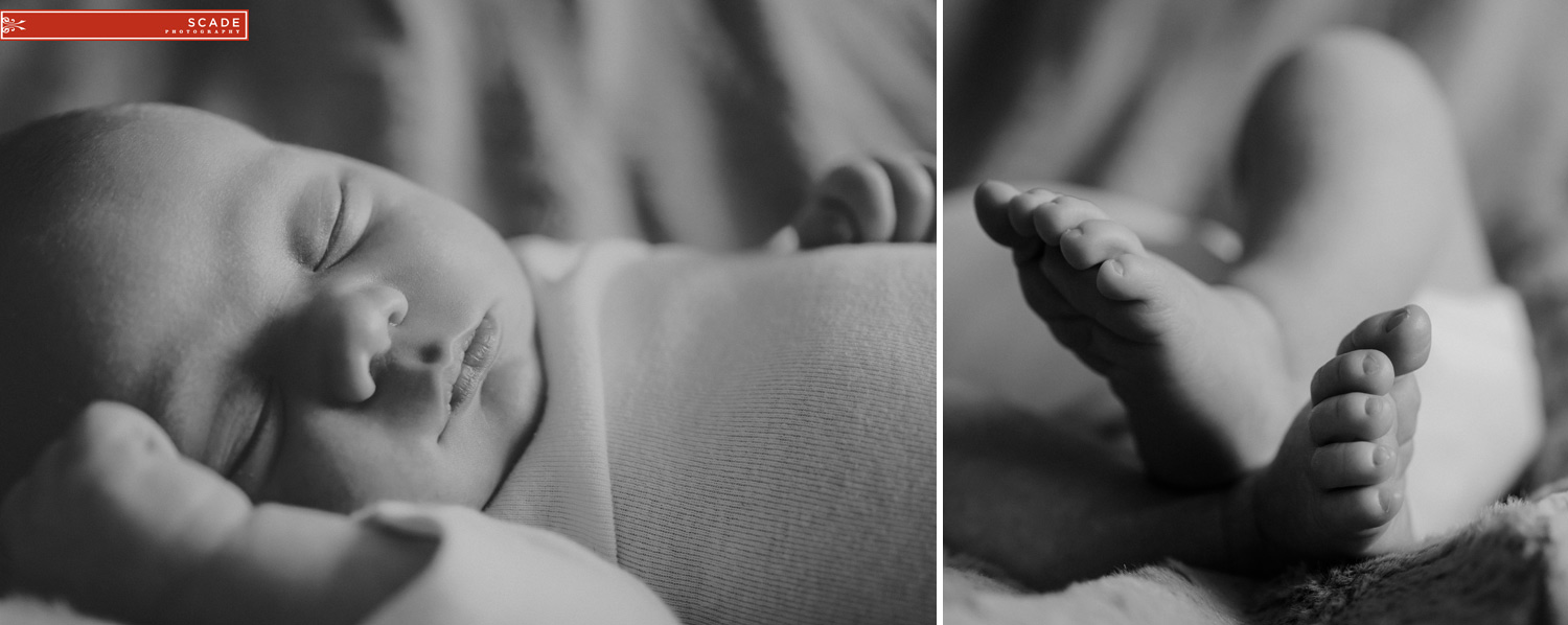 Edmonton Newborn Photography