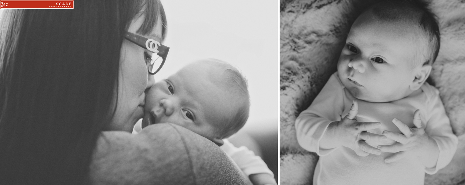 Edmonton Newborn Photography