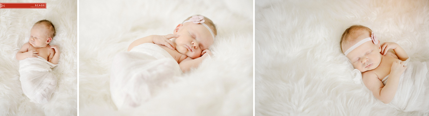 Edmonton Newborn Photography