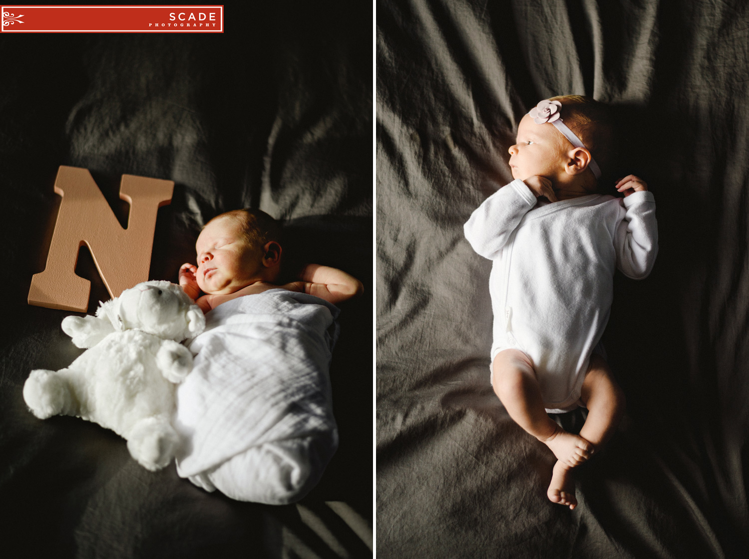 Edmonton Newborn Photography