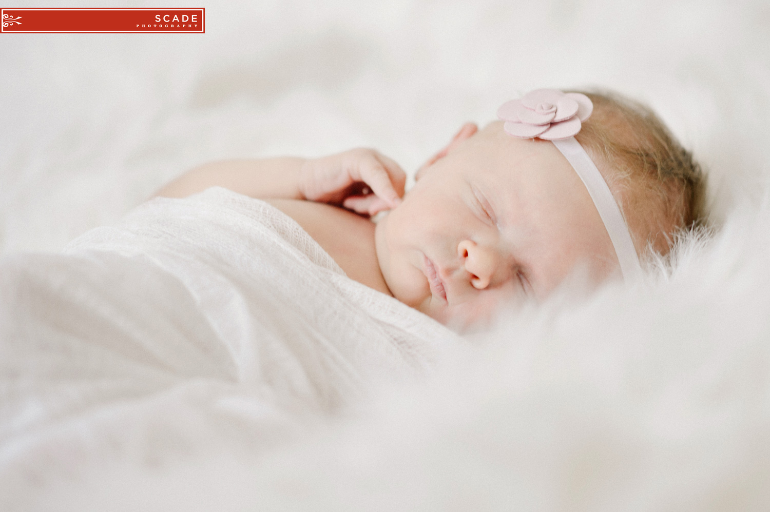 Edmonton Newborn Photography