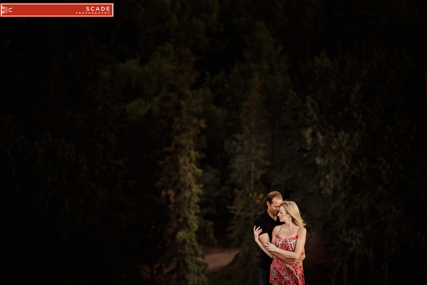 Edmonton Engagement Photographers