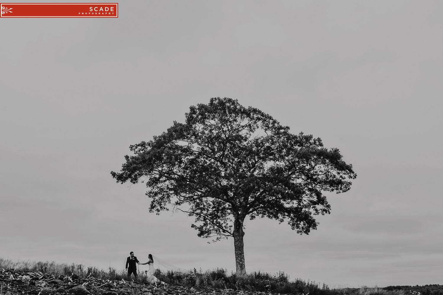 Nova Scotia Wedding Photography - Andi and David