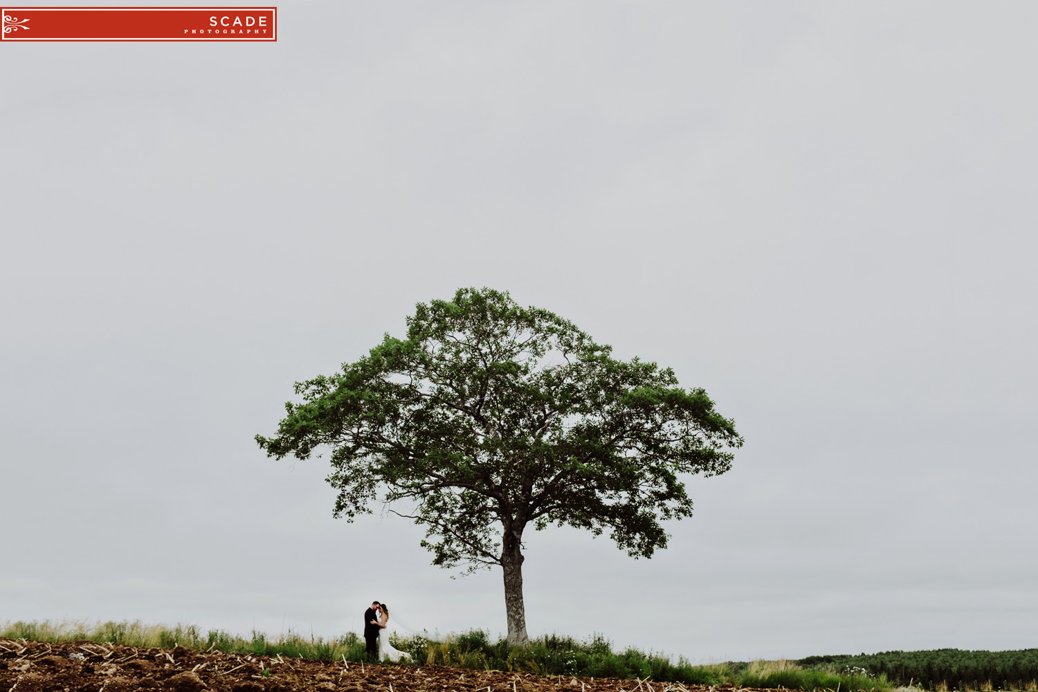 Nova Scotia Wedding Photography - Andi and David