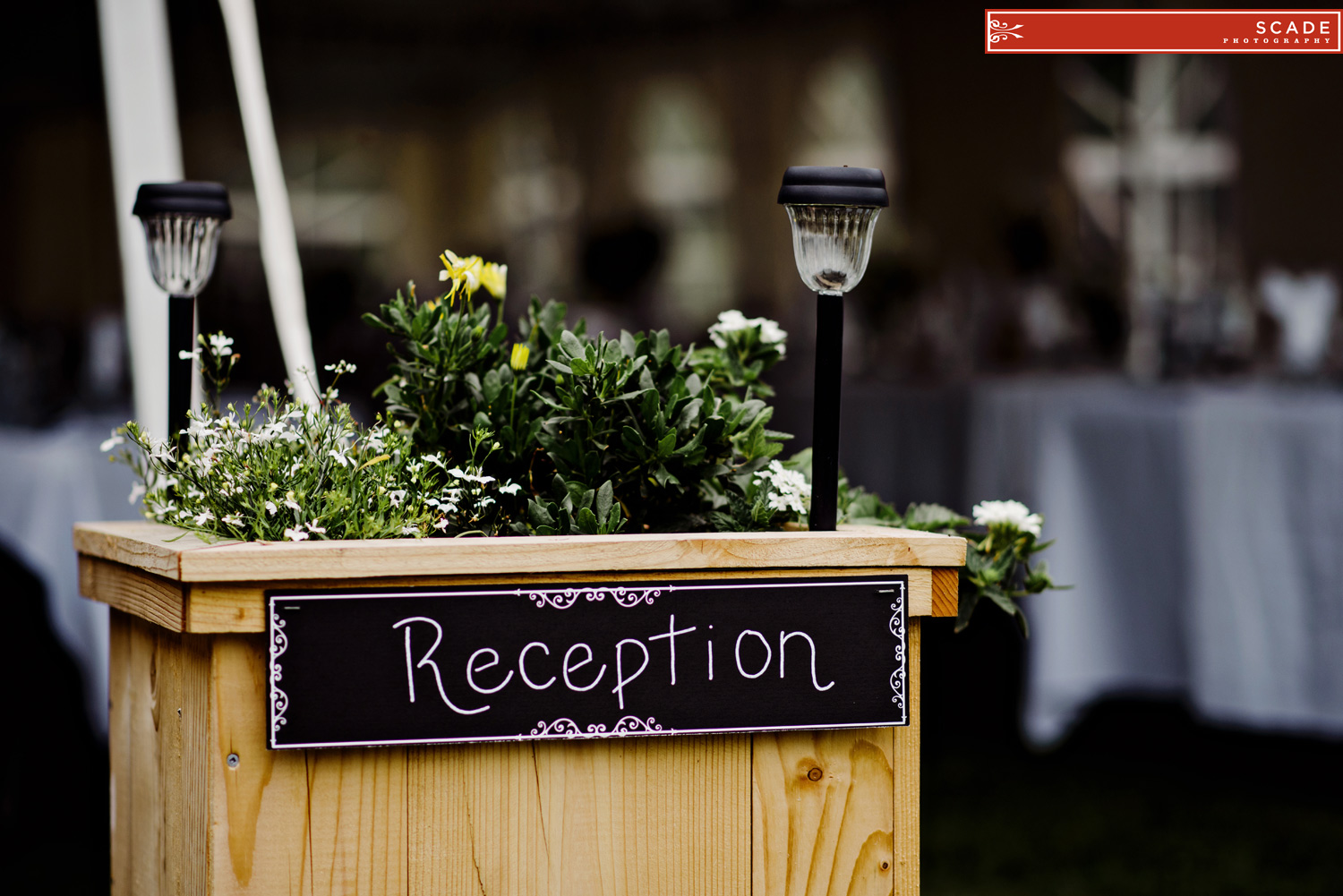 Nova Scotia Wedding Photography - Andi and David