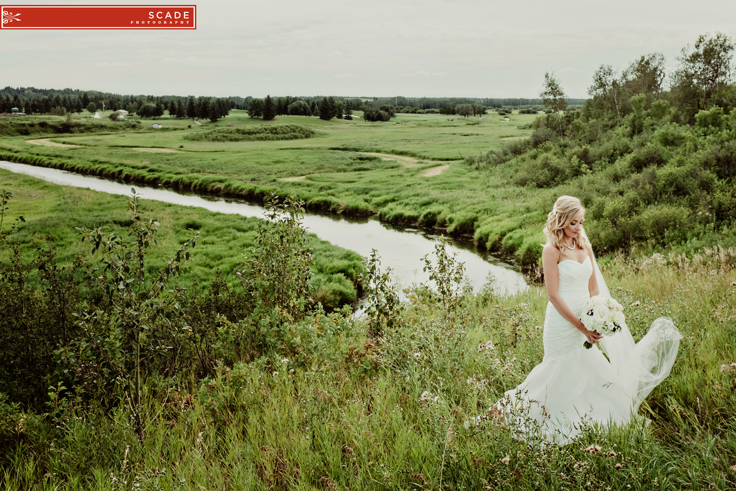 Edmonton Wedding Photographers