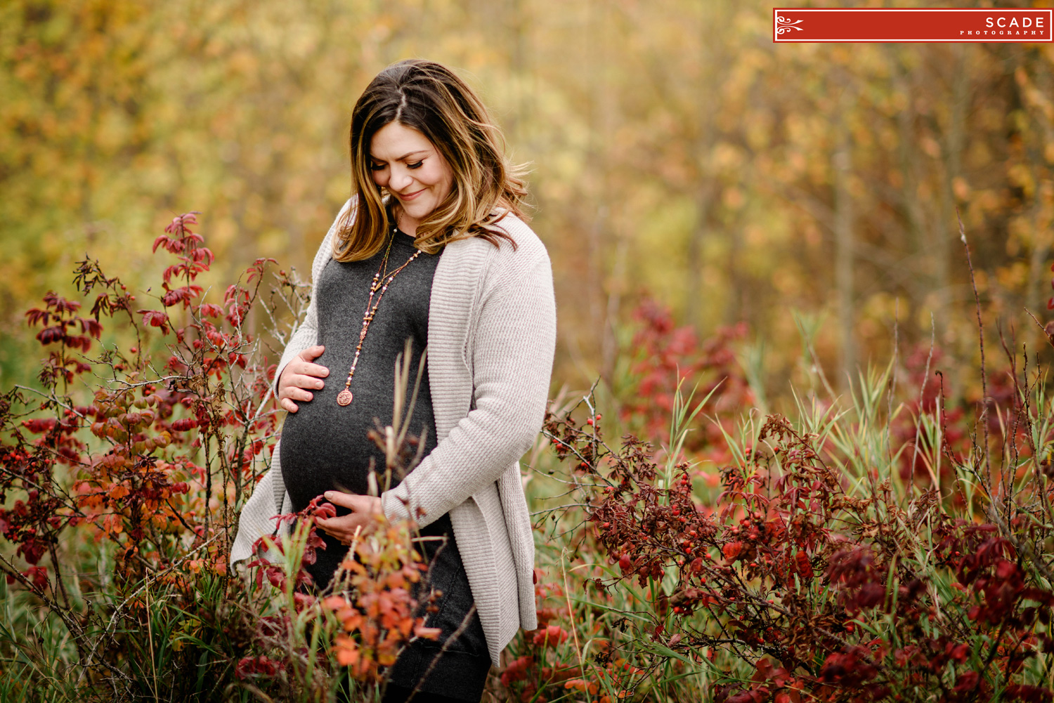 Fall maternity photography edmonton