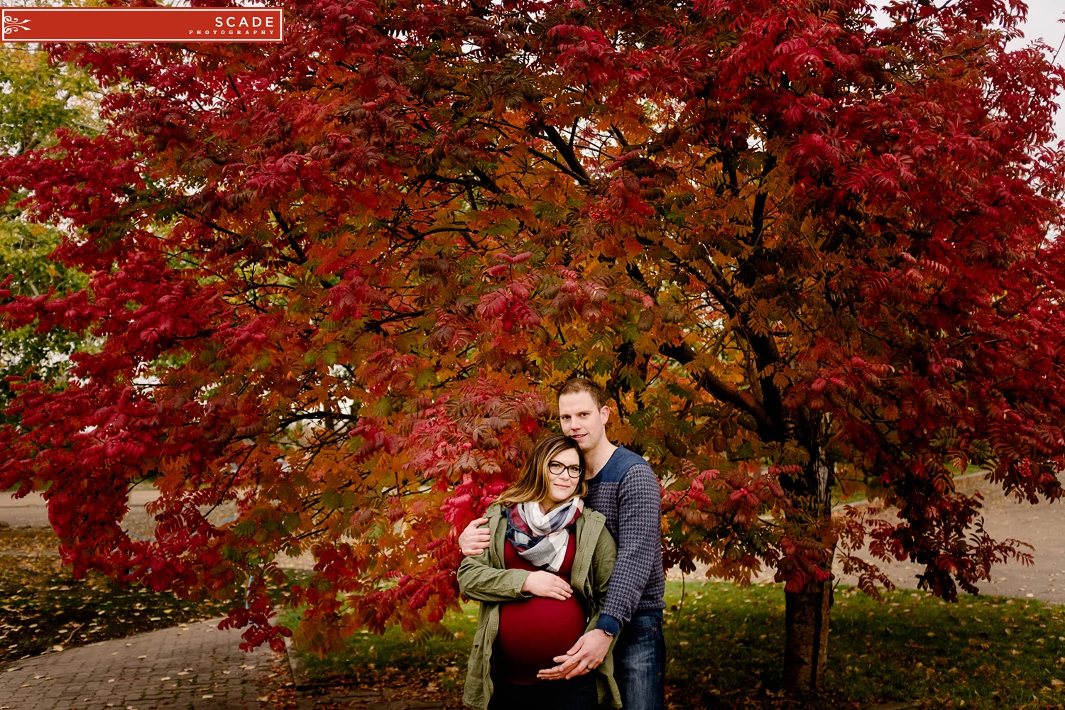 Fall maternity photography edmonton