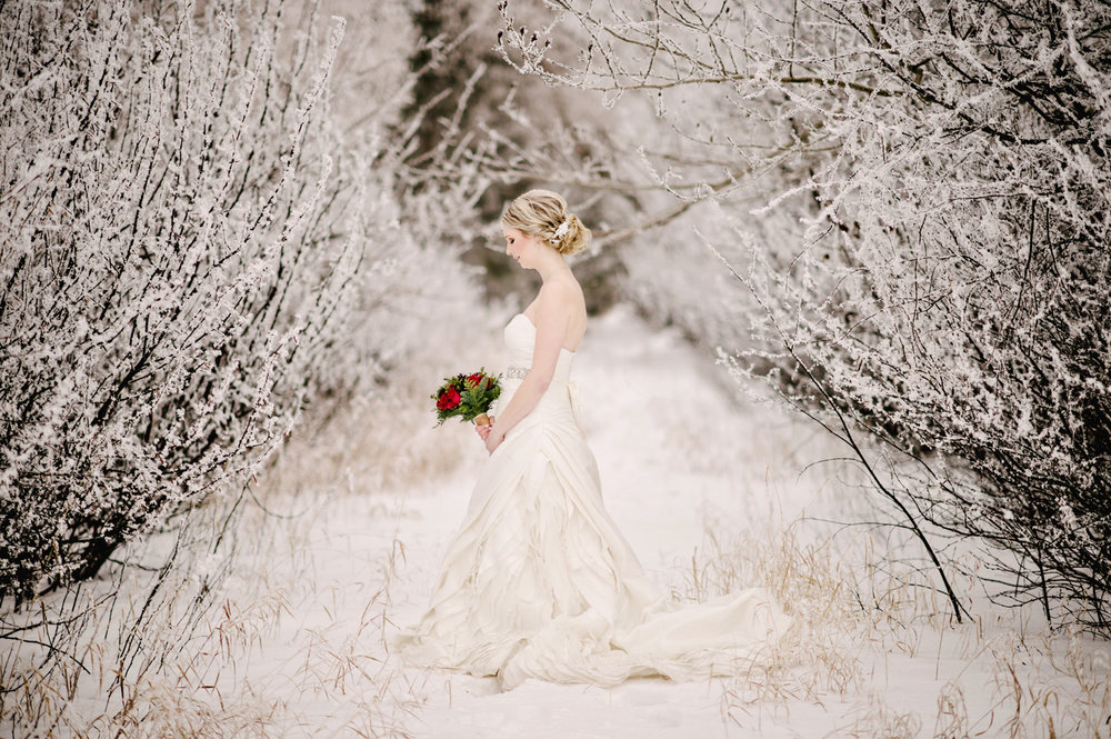 Edmonton Winter Wedding Photography