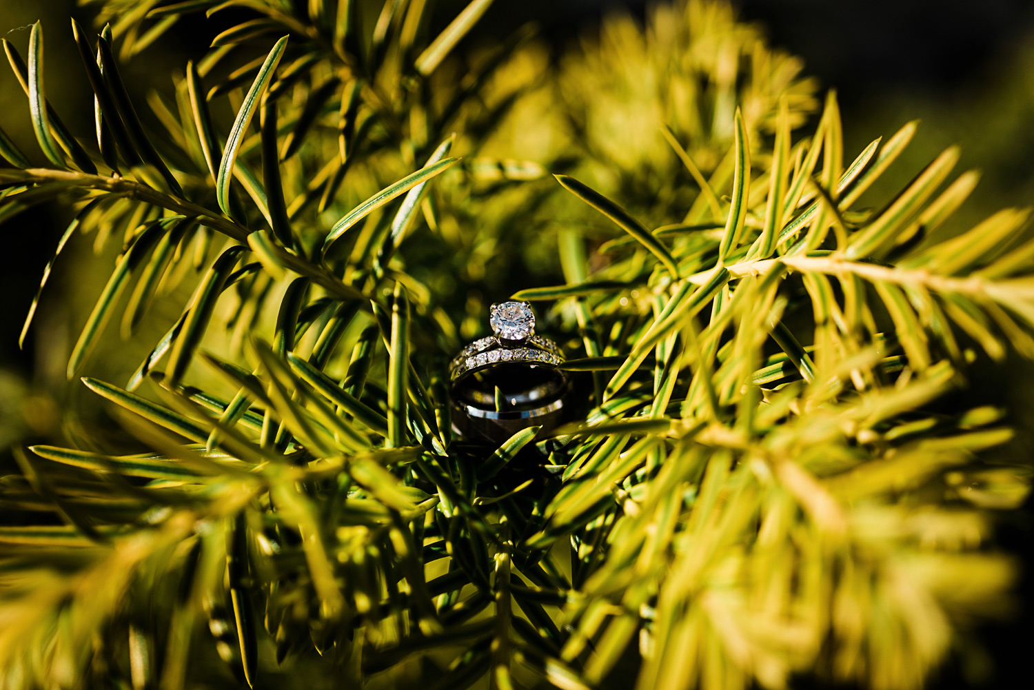 Edmonton Old Timers cabin wedding - 0005.JPG