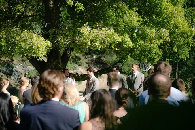 Wilson Vineyards Wedding