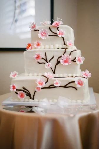 Vacaville Wedding Photographer